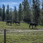 Spokojny Zakatek *